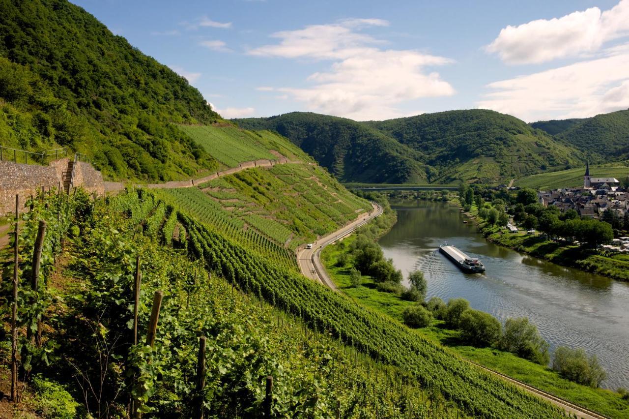 Pension Moselvilla 1900 Cochem Ngoại thất bức ảnh